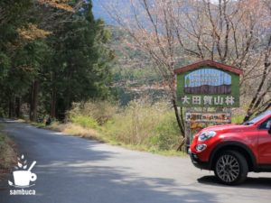 速水林業の森、大田賀山林にやってきました
