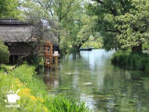 大王わさび農場