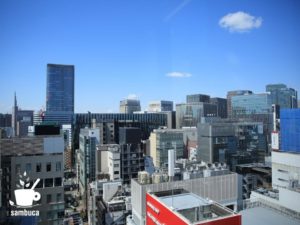 東急プラザ銀座の屋上からの眺め（GINZA SIXガーデン）