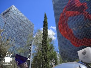 Ginza Sony Park（銀座ソニーパーク）のイトスギ