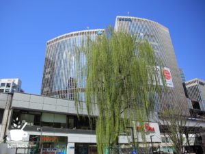 数寄屋橋公園のシダレヤナギ