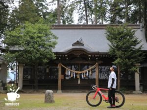 日吉神社の境内でヒノキの大木を眺めます