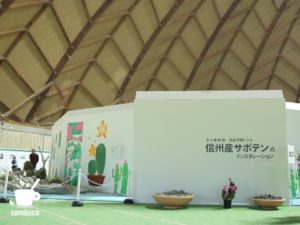 そら植物園・西畠清順による信州産のサボテンのインスタレーション