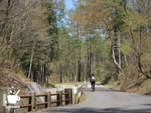 県道393号の緩やかな上り坂
