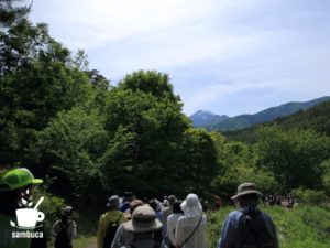 烏川渓谷緑地の散策