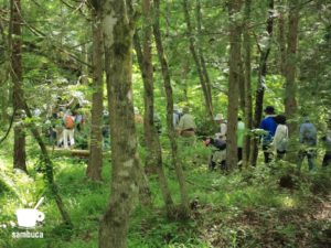烏川渓谷緑地の散策