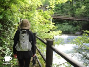烏川沿いを上流に向かって歩きます
