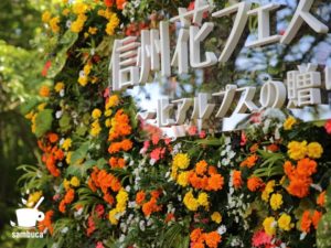 「ガイドセンター」横の「信州花フェスタ」の花飾り