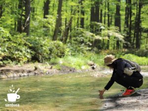 水辺が多い散策路