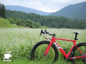 3Tのロードバイクと蕎麦畑