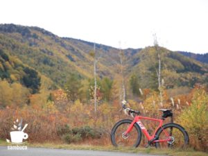 黄葉の風景と3Tのロードバイク