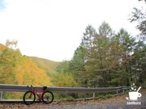 黄葉の風景とカラマツ、3Tのロードバイク