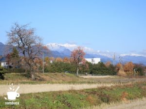 カキノキの向こうに北アルプス