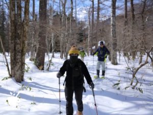 雪の樹林帯を進みます