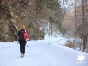 上高地からの帰路