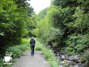 黒沢の滝への道