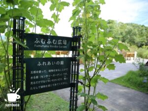 高知県立・牧野植物園「ふむふむ広場」