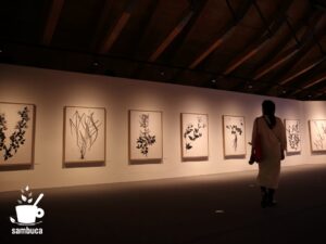 牧野植物園「展示館・企画展示室・植物画ギャラリー」（菅原一剛「MAKINO 植物の肖像」展）