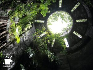 高知県立・牧野植物園「温室」の「みどりの塔」